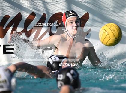 Thumbnail 2 in Brea Olinda @ Canyon photogallery.