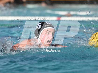 Thumbnail 1 in Brea Olinda @ Canyon photogallery.