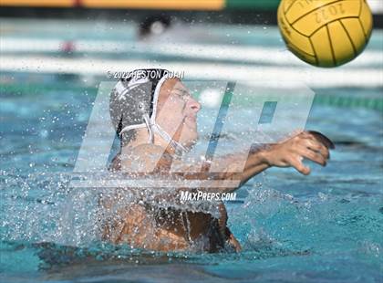 Thumbnail 3 in Brea Olinda @ Canyon photogallery.