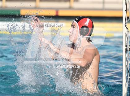 Thumbnail 3 in Brea Olinda @ Canyon photogallery.