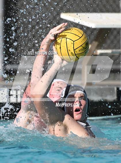 Thumbnail 2 in Brea Olinda @ Canyon photogallery.