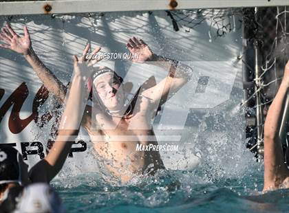Thumbnail 2 in Brea Olinda @ Canyon photogallery.