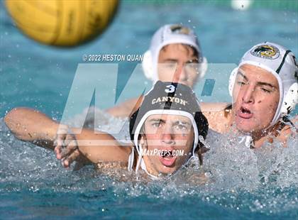 Thumbnail 3 in Brea Olinda @ Canyon photogallery.