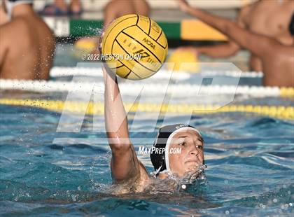 Thumbnail 2 in Brea Olinda @ Canyon photogallery.