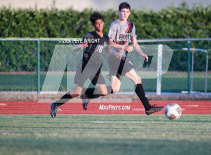Thumbnail 1 in Southeast @ Palmetto photogallery.