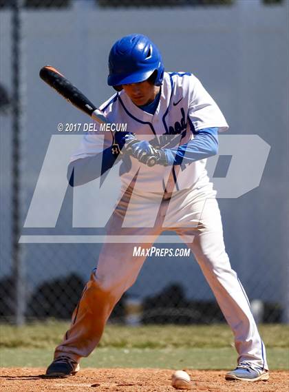Thumbnail 2 in Armwood vs. Freedom (Tony Saladino Tournament) photogallery.