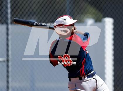 Thumbnail 3 in Armwood vs. Freedom (Tony Saladino Tournament) photogallery.