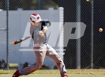 Thumbnail 3 in Armwood vs. Freedom (Tony Saladino Tournament) photogallery.