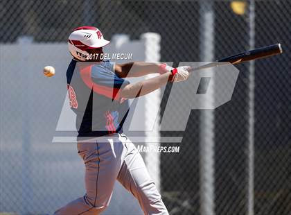 Thumbnail 2 in Armwood vs. Freedom (Tony Saladino Tournament) photogallery.