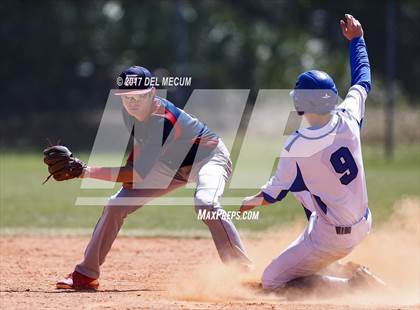 Thumbnail 3 in Armwood vs. Freedom (Tony Saladino Tournament) photogallery.
