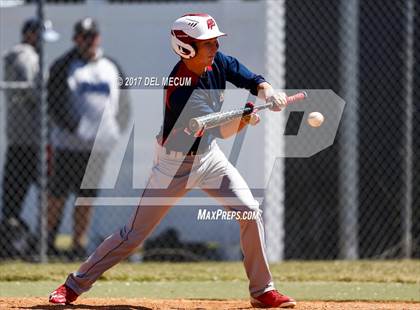 Thumbnail 1 in Armwood vs. Freedom (Tony Saladino Tournament) photogallery.