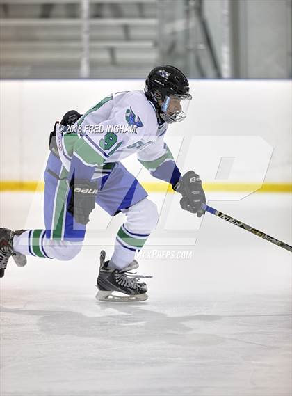 Thumbnail 3 in Oakton vs South Lakes (Reston IceQuest) photogallery.