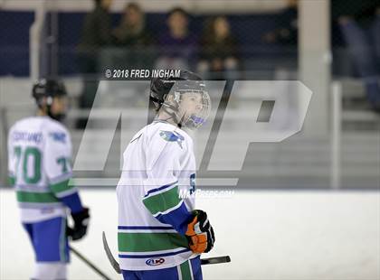 Thumbnail 3 in Oakton vs South Lakes (Reston IceQuest) photogallery.