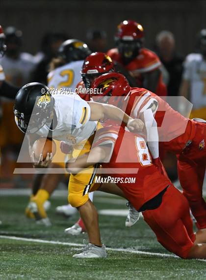 Thumbnail 3 in Saguaro @  Chaparral photogallery.