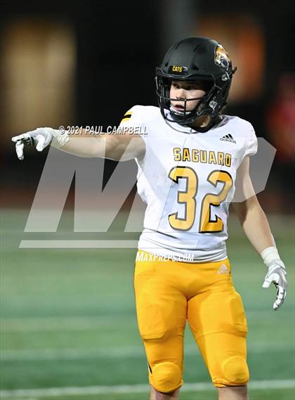 Thumbnail 2 in Saguaro @  Chaparral photogallery.