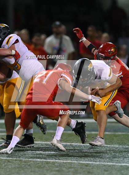 Thumbnail 3 in Saguaro @  Chaparral photogallery.