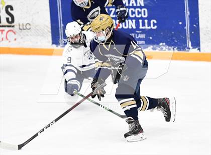 Thumbnail 3 in Notre Dame-Fairfield @ Immaculate photogallery.