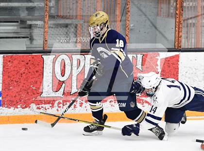 Thumbnail 3 in Notre Dame-Fairfield @ Immaculate photogallery.