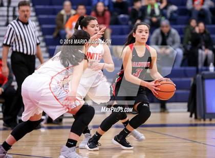 Thumbnail 2 in Palmview vs United (UIL 6A Bi-District Playoff) photogallery.