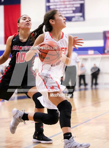 Thumbnail 1 in Palmview vs United (UIL 6A Bi-District Playoff) photogallery.