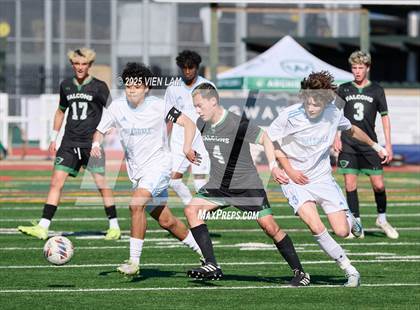 Thumbnail 2 in Hillsdale @ Archie Williams (CIF NorCal Division 3 Final) photogallery.