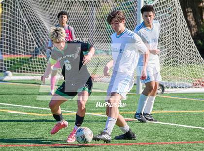 Thumbnail 3 in Hillsdale @ Archie Williams (CIF NorCal Division 3 Final) photogallery.