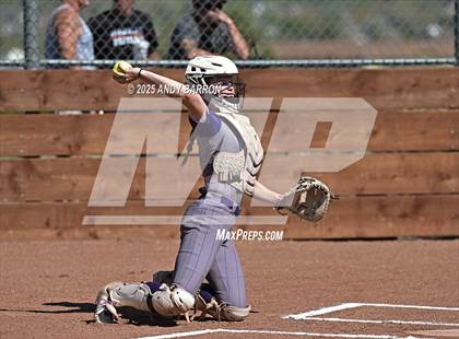 Thumbnail 3 in Douglas @ Spanish Springs photogallery.