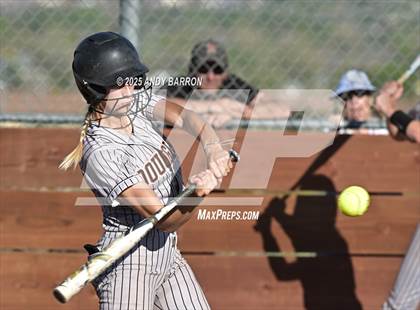 Thumbnail 1 in Douglas @ Spanish Springs photogallery.