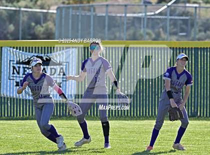 Thumbnail 1 in Douglas @ Spanish Springs photogallery.