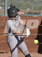 Photo from the gallery "Douglas @ Spanish Springs"