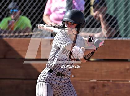 Thumbnail 3 in Douglas @ Spanish Springs photogallery.
