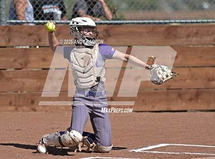 Thumbnail 2 in Douglas @ Spanish Springs photogallery.