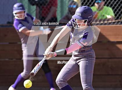 Thumbnail 3 in Douglas @ Spanish Springs photogallery.