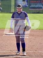 Photo from the gallery "Douglas @ Spanish Springs"