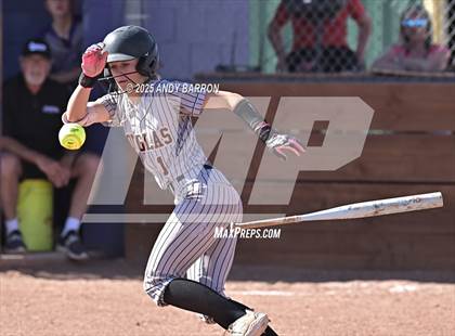 Thumbnail 1 in Douglas @ Spanish Springs photogallery.