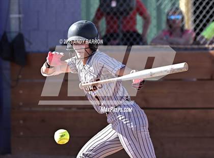 Thumbnail 3 in Douglas @ Spanish Springs photogallery.