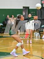 Photo from the gallery "Boulder Creek @ Sunnyslope"