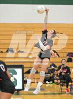 Photo from the gallery "Boulder Creek @ Sunnyslope"