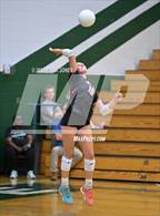 Photo from the gallery "Boulder Creek @ Sunnyslope"