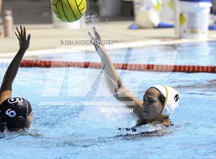 Thumbnail 2 in Brennan @ Sotomayor photogallery.