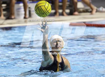Thumbnail 3 in Brennan @ Sotomayor photogallery.