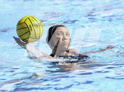 Thumbnail 2 in Brennan @ Sotomayor photogallery.