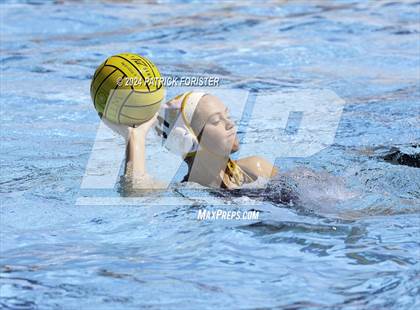 Thumbnail 1 in Brennan @ Sotomayor photogallery.