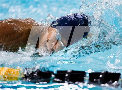 Thumbnail 3 in Bellbrook Best of the Nest Swim Invitational photogallery.