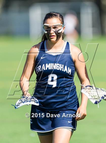 Thumbnail 3 in Framingham @ Wellesley photogallery.
