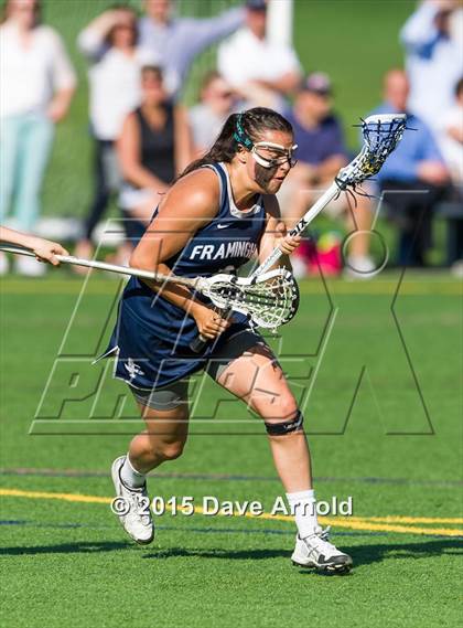 Thumbnail 1 in Framingham @ Wellesley photogallery.
