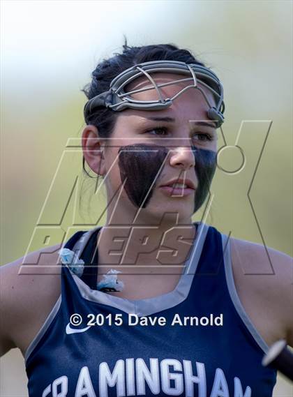 Thumbnail 1 in Framingham @ Wellesley photogallery.