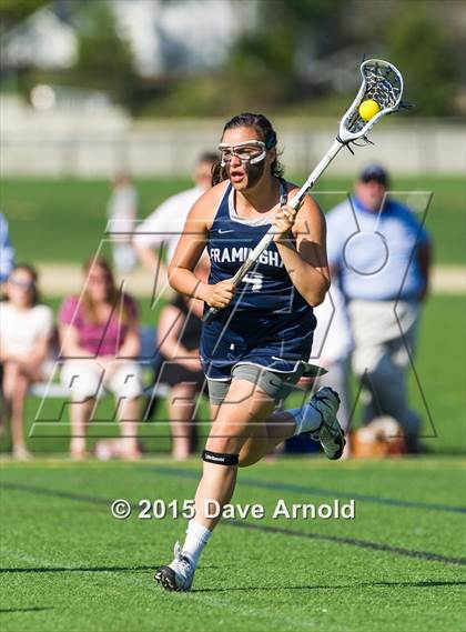 Thumbnail 1 in Framingham @ Wellesley photogallery.