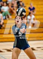 Photo from the gallery "River City @ Laguna Creek"