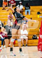 Photo from the gallery "River City @ Laguna Creek"